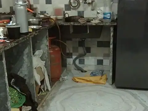 bhabhi jaan11 online show from 12-19-25, 04:31