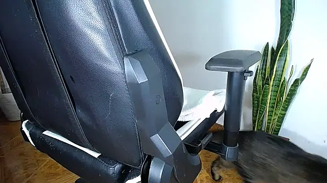 diamond black00 online show from 03-19-25, 12:04