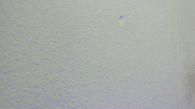 JESSYCORTES online show from 09-10-25, 01:32