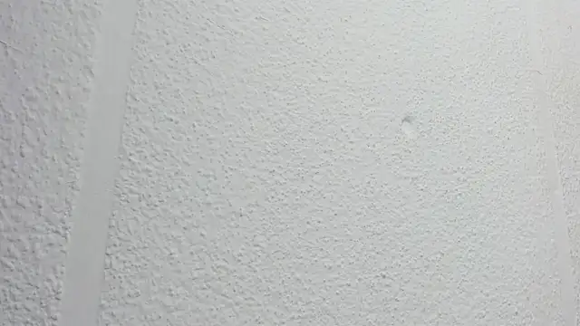 JESSYCORTES online show from 10-15-25, 02:25