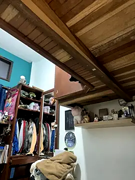 SophiaWeestt99 online show from 12-04-25, 04:11