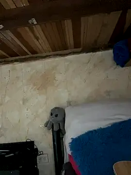 SophiaWeestt99 online show from 11-15-25, 02:15