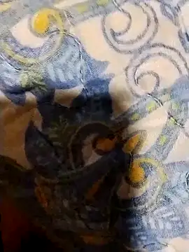 minitranca online show from 02-07-26, 08:17