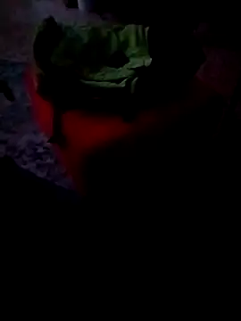 minitranca online show from 02-26-26, 09:59