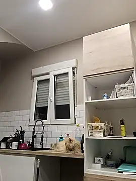 Holaluz2 online show from 01-05-26, 06:00