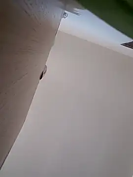 LargeDominoes online show from 04-03-26, 05:30