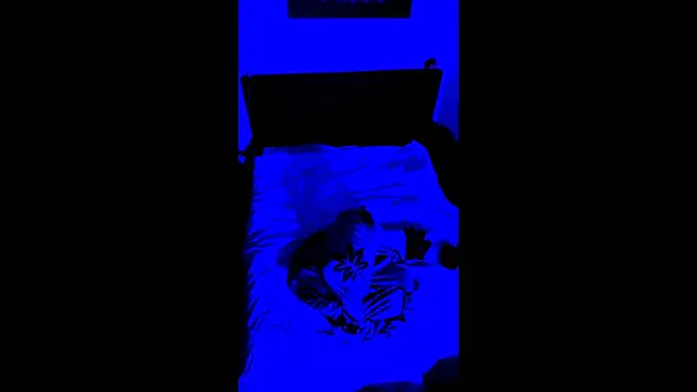 LuggiJack online show from 02-28-26, 07:02