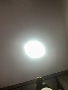 PandoraRider online show from 04-03-26, 12:44