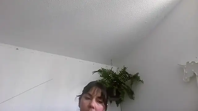 Tiramisu89 online show from 01-11-26, 06:48