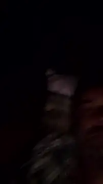 Snapshot of Gianlucazeis chatting on 06-03-26, 02:56 Gianlucazeis online show from 06-03-26, 02:56