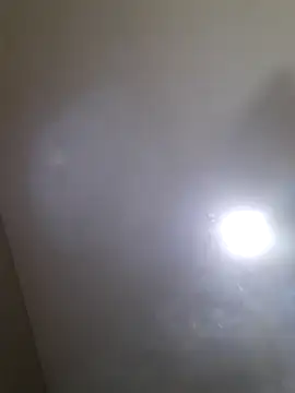 Colorao4 online show from 09-30-25, 02:56