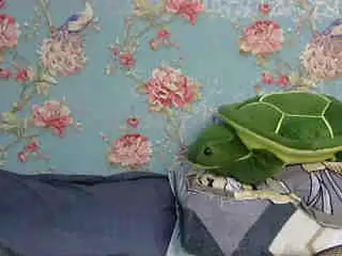 Snapshot of Tiny_lusty chatting on 03-16-25, 08:21 Tiny lusty online show from 03-16-25, 08:21