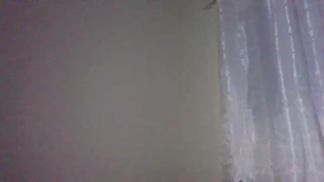sweets 80 online show from 10-10-25, 05:25