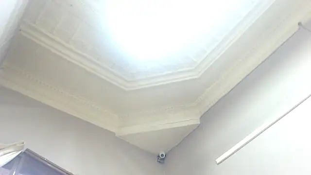 AMAZINGSHAZZXXX online show from 05-05-26, 07:44