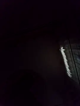 JasminePrice online show from 11-24-25, 04:01