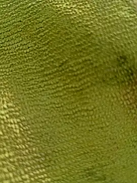 sadunt online show from 12-17-25, 09:36