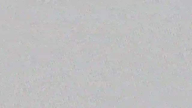 mara jackson  online show from 03-14-25, 11:00