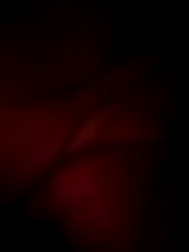 Snapshot of wildfox566 chatting on 03-16-26, 05:37 wildfox566 online show from 03-16-26, 05:37