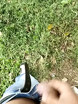 C vas  online show from 03-11-25, 08:53