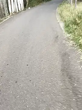 C vas  online show from 12-10-24, 11:54