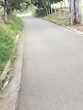 C vas  online show from 12-09-24, 11:47