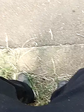 C vas  online show from 12-11-24, 12:02