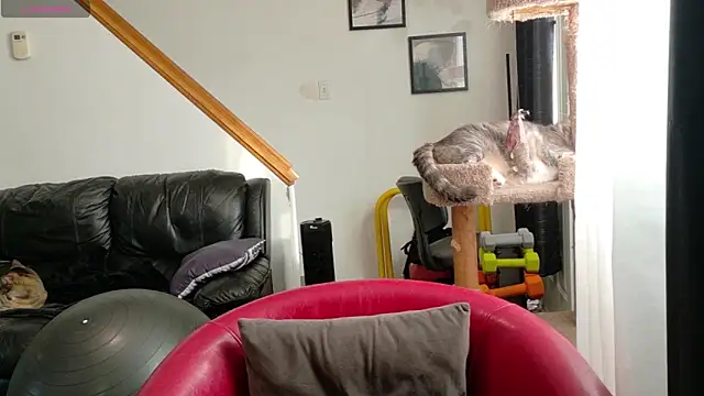 Thekodyy online show from 09-17-25, 12:40