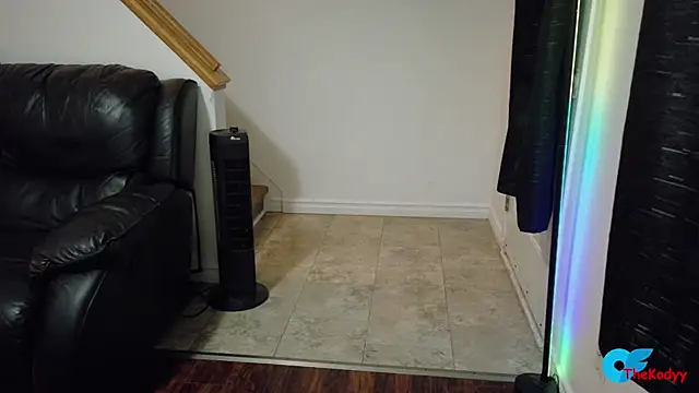 Thekodyy online show from 06-18-26, 04:44