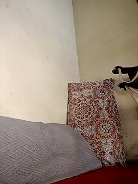 Shria107 online show from 10-22-25, 07:30