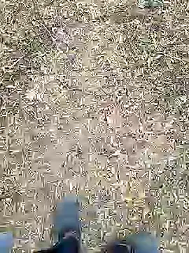 Mrveda66 online show from 02-10-26, 11:09