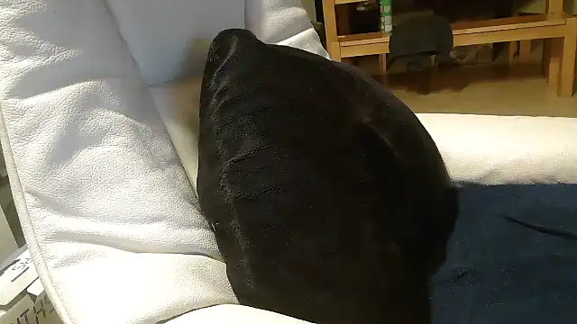 defttonguexxx online show from 01-08-26, 09:21