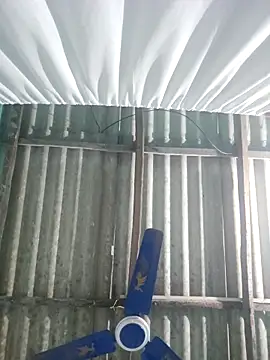 hotbaby 5 online show from 11-18-25, 03:59