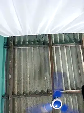 hotbaby 5 online show from 11-01-25, 12:39