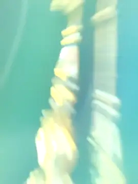 Ananya 34 online show from 10-01-25, 02:49