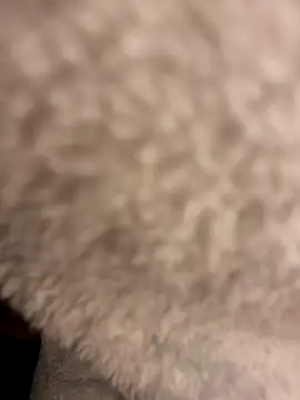 Snapshot of DaneLoveSexy chatting on 03-21-25, 08:50 DaneLoveSexy online show from 03-21-25, 08:50