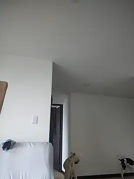 Snapshot of 911Calling chatting on 02-04-25, 09:41 911Calling online show from 02-04-25, 09:41