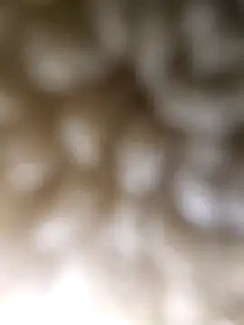 ch   ro69 online show from 03-05-26, 09:22