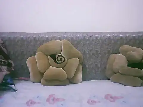 LOVE-SUSHILA online show from 11-07-25, 08:30