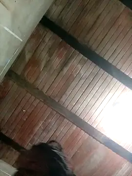 Snapshot of kendalbrowns chatting on 09-29-25, 10:00 kendalbrowns online show from 09-29-25, 10:00