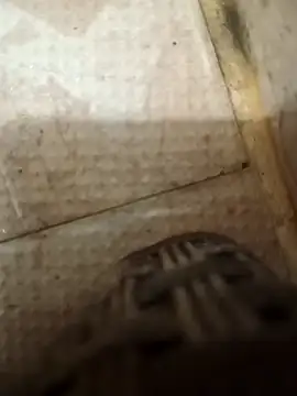 pintuS40 online show from 10-09-25, 01:39