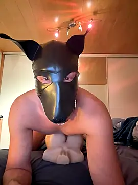 Snapshot of PlayDog123 chatting on 11-27-25, 04:40 PlayDog123 online show from 11-27-25, 04:40