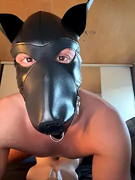 Snapshot of PlayDog123 chatting on 11-04-25, 03:16 PlayDog123 online show from 11-04-25, 03:16