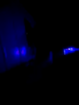 KAZADO LIBERAL online show from 02-22-26, 11:34