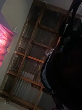 dojw online show from 09-29-25, 03:28