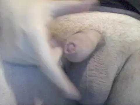 Lovelabite2 online show from 02-17-25, 05:12