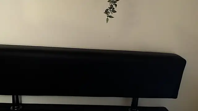 LaimaV  online show from 04-10-26, 04:47