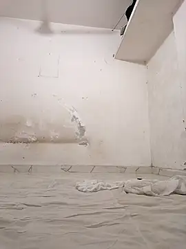 Rajni-Mehra online show from 11-04-25, 05:22