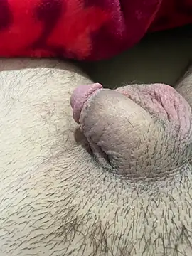 Snapshot of TheArabicGuyx chatting on 02-13-26, 09:48 TheArabicGuyx online show from 02-13-26, 09:48