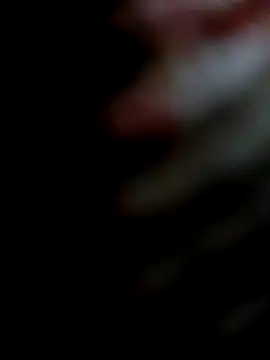 miamiworld online show from 12-13-24, 02:27