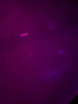 Alahia7demon online show from 03-22-26, 10:17